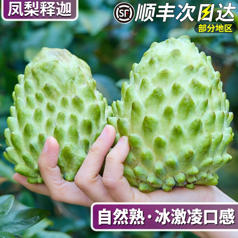 顺丰速达5斤凤梨释迦整箱包邮