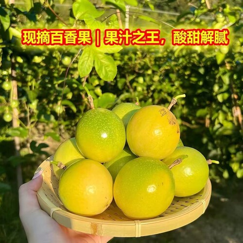 正宗钦蜜9号黄金百香果产地直发新鲜水果清甜多汁应季当季孕妇果