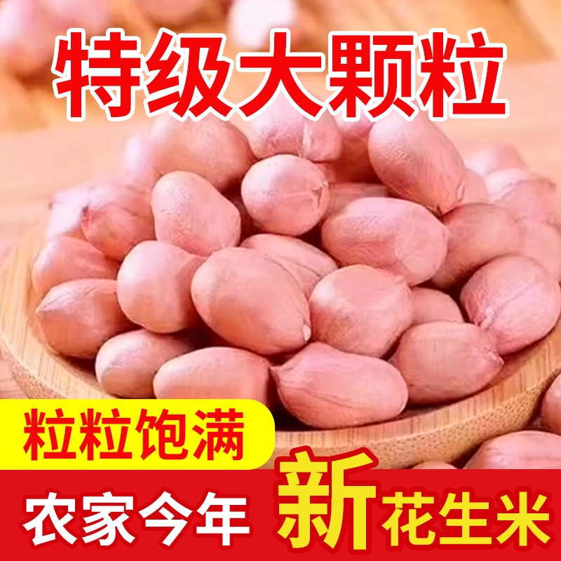2025新货白沙花生米农家现剥大颗粒不带壳粉皮白皮新鲜花生仁榨油