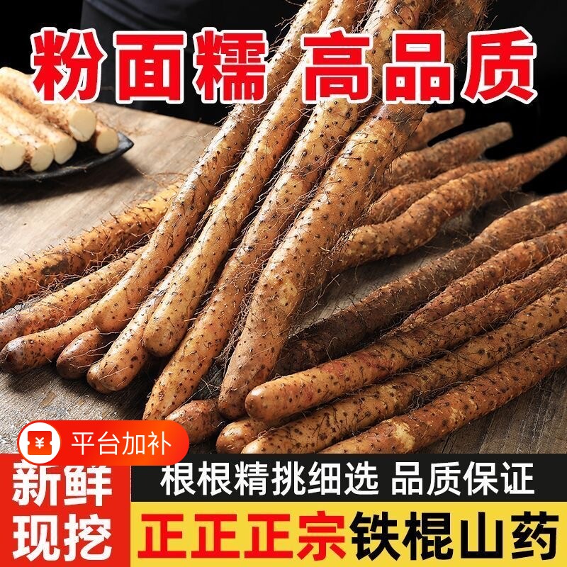 正宗河南焦作温县垆土铁棍山药新鲜现挖粉糯怀淮山生铁杆包邮甘甜