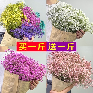 满天星轻奢干花花束客厅摆设装饰摆件云南永生花风干插花真花摆放