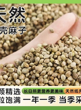 鹦鹉纸壳麻子鸟粮饲料麻籽仁小太阳虎皮牡丹玄凤天然火麻子小颗粒