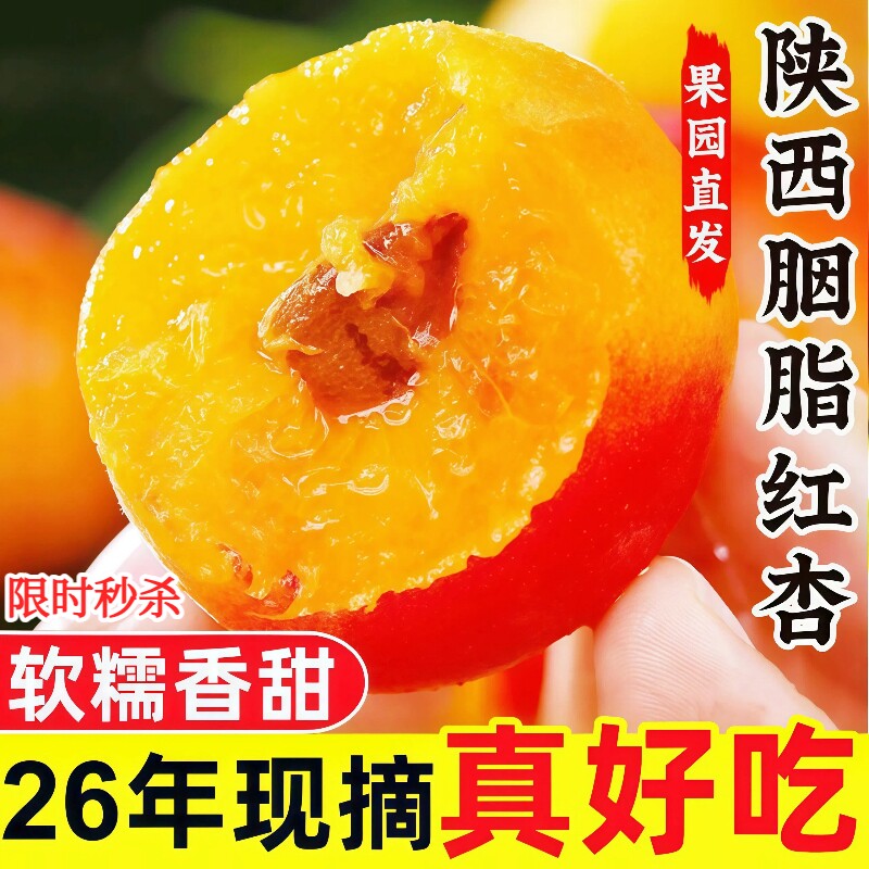 陕西胭脂红杏贵妃大黄杏子当季新鲜水果酸甜现摘孕妇可食整箱头茬