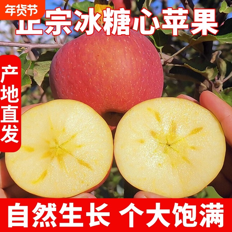 圣诞猴甘肃大漠冰糖心苹果红富士新鲜水果脆甜丑果包邮生鲜精选,水产肉类/新鲜蔬果/熟食,苹果,淘宝优惠券,粉丝福利购,淘宝优惠卷