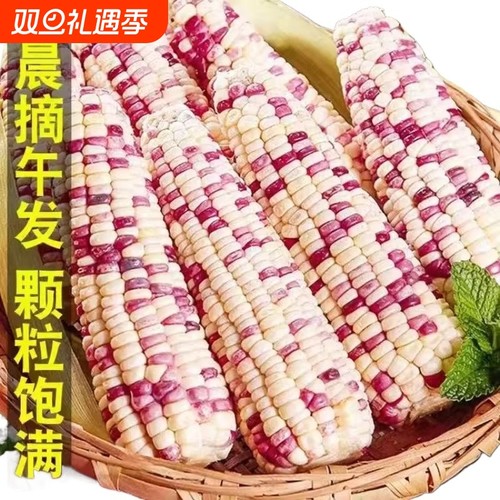 广西农家花糯玉米9斤新鲜装
