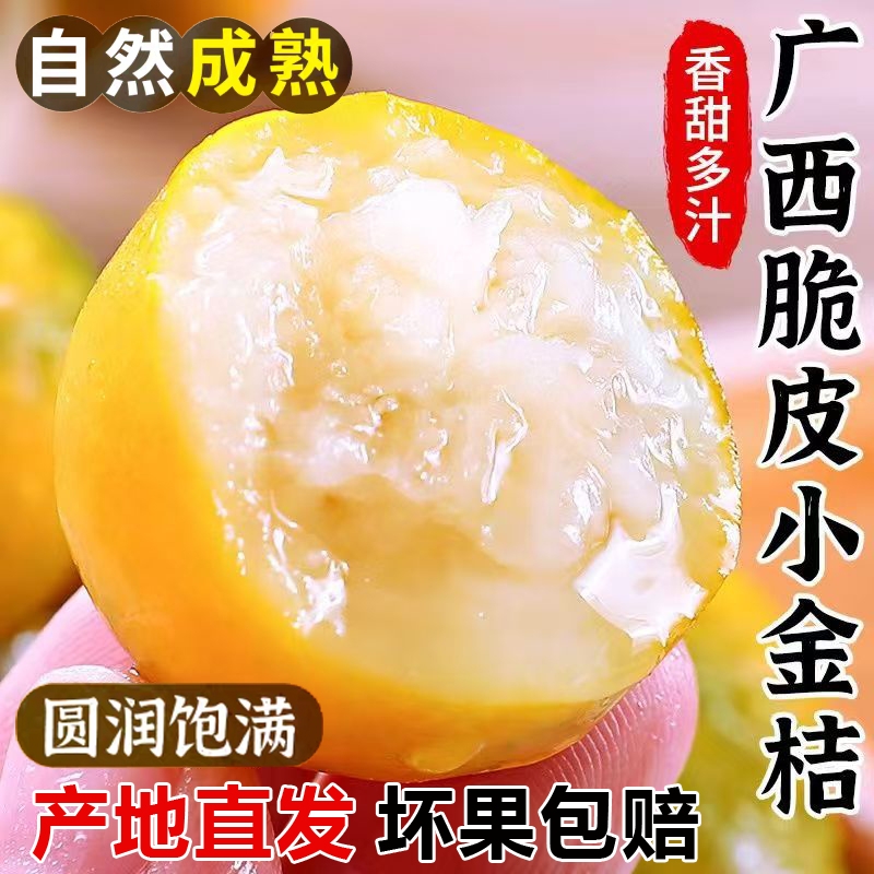 正宗广西脆皮小金桔新鲜应季水果蜜桔爆汁第三代纯甜金桔橘子现摘