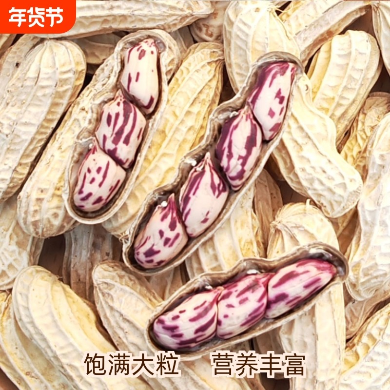 2025新货七彩花生云南普洱七彩晒干五彩花生种生带壳熟花生零食,零食/坚果/特产,花生,淘宝优惠券,粉丝福利购,淘宝优惠卷