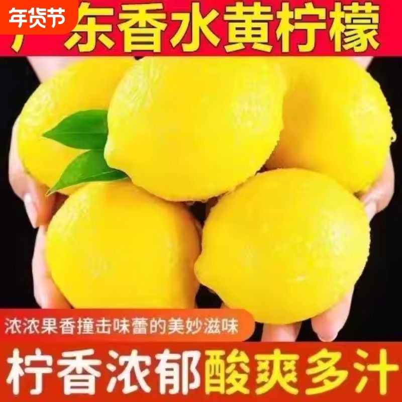 广东香水黄柠檬9斤新鲜水果柠檬精选皮薄柠檬奶茶店专用整箱批发