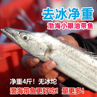 新鲜海捕大带鱼净重4斤黄渤海捕带鱼段刀鱼冷冻整条水产白睛小眼