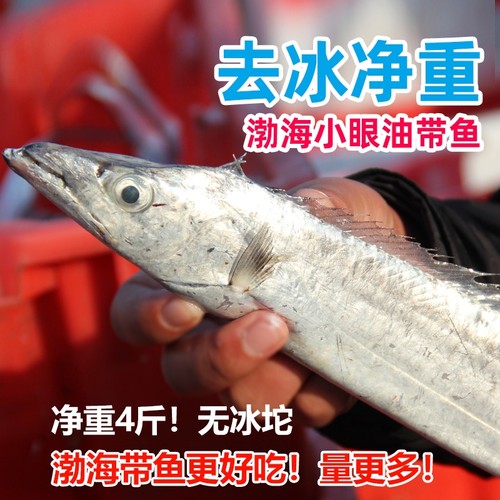 带鱼巡洋星渤海新鲜海捕4斤