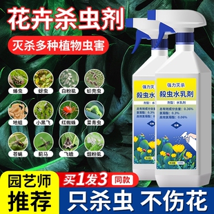 杀虫药花卉植物剂花药通用月季花病虫害常用药蚜虫呋虫胺专用除虫