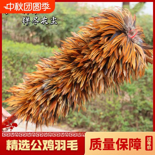 兴远羽毛制品家庭除尘掸可伸缩