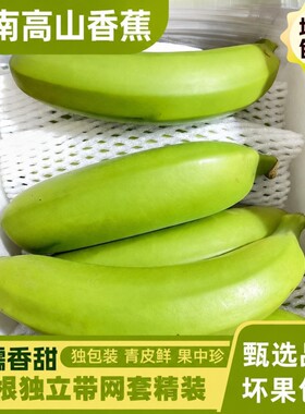广西高山香蕉香甜可口整箱发