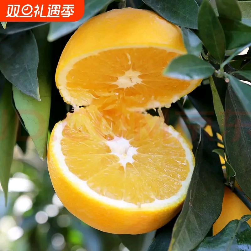 江西橙子赣南脐橙新鲜水果当季整箱10斤应季时令榨汁产地直发