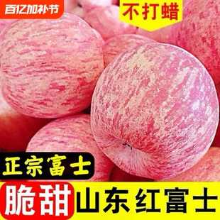 正宗山东烟台红富士苹果水果当季整箱9斤新鲜栖霞冰糖心苹果