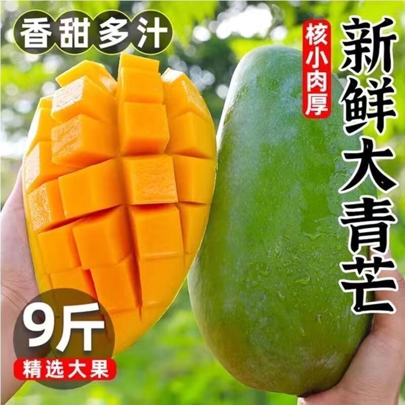 新鲜大青芒果现摘采摘热带水果皮薄肉多核小甜蜜多汁整箱包邮