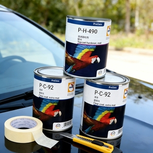 鹦鹉92哑光清漆94半哑光光油透明490固化剂汽车油漆鹦鹉哑光改色P