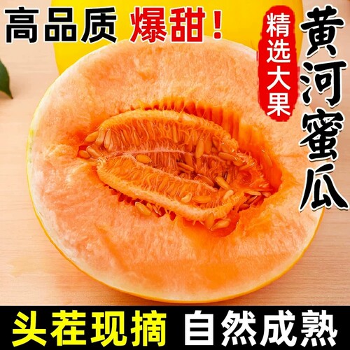 正宗黄河蜜瓜甜瓜新鲜水果应当季整箱包邮黄金脆香瓜哈密头茬民勤