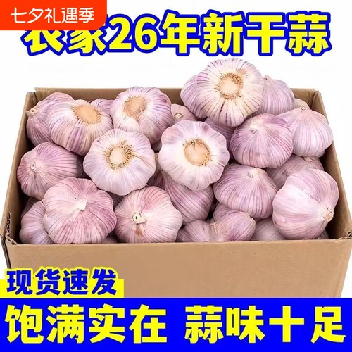 山东金乡紫白皮大蒜5斤新货正宗多汁可种可腌糖蒜多瓣蒜头新干蒜