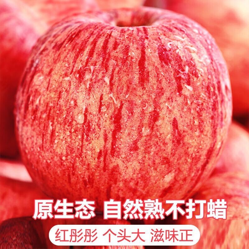 新果高山老树烟台山东红富士苹果产地直发酸甜爽脆新鲜现发脆甜