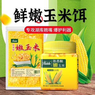 沙飞龙嫩玉米饵料窝料大物鲤草鱼翘嘴钓饵打窝钓鱼专用生鲜甜玉米