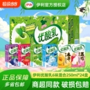 伊利優酸乳250ml 24盒整箱原味草莓兒童學生含乳飲料 官方正品