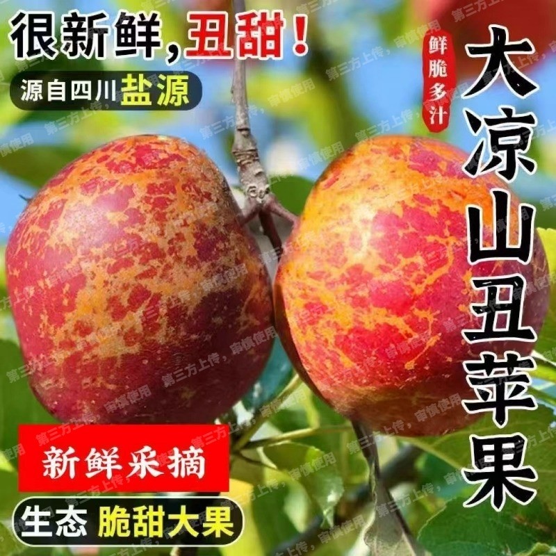 2025丑苹果冰糖心大凉山新鲜当季现摘孕妇水果盐源红富士整箱包邮