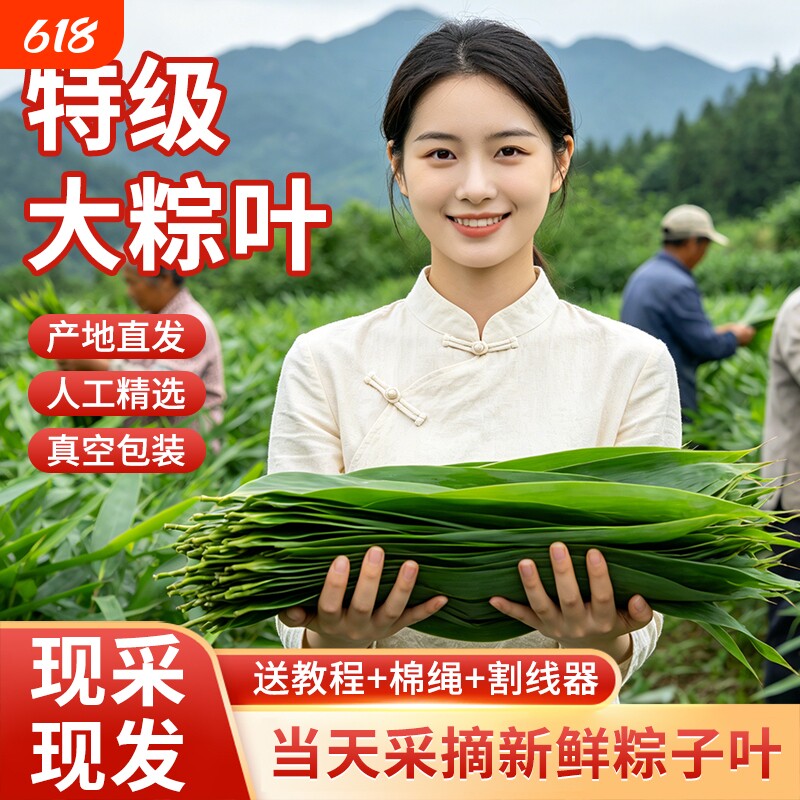 新鲜粽子叶特大粽叶箬叶端午节包粽子的叶子家用商用干送绳现摘
