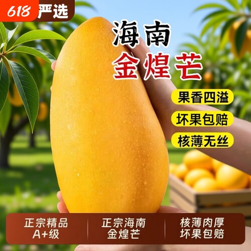 【芒果热卖榜】海南金煌芒果