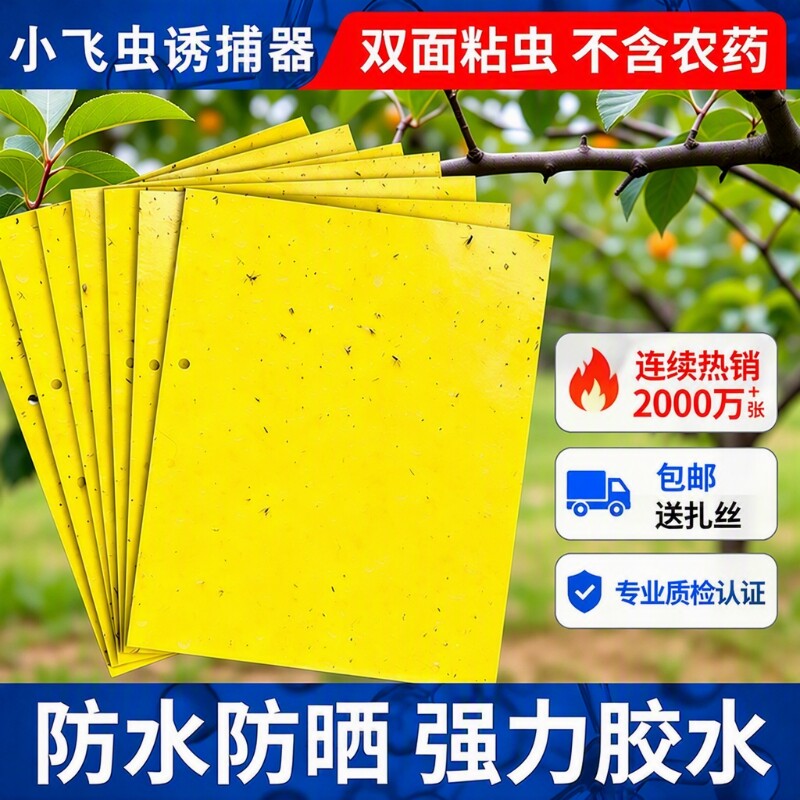 黄板双面粘强力粘苍蝇纸灭蝇纸果实蝇粘虫蝇板果蝇诱捕蚊子养殖场