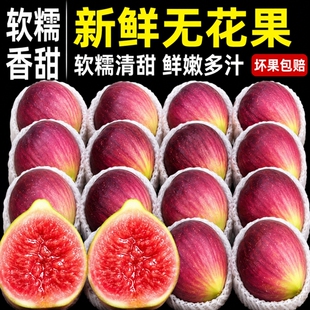 顺丰包邮新鲜红皮无花果当季水果正宗云南紫红皮现摘大果紫皮