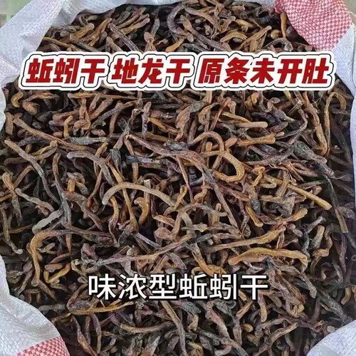 蚯蚓干 地龙干曲蟮 野生黑蚯蚓干臭蚯蚓青蚯蚓鱼饵 饵料 黄鳝诱饵