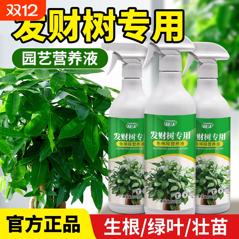 发财树营养液肥料专用肥