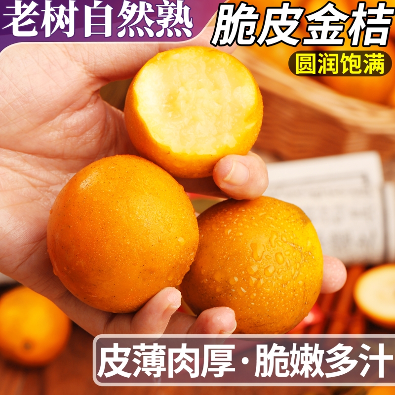 正宗广西融安脆皮金桔整箱包邮