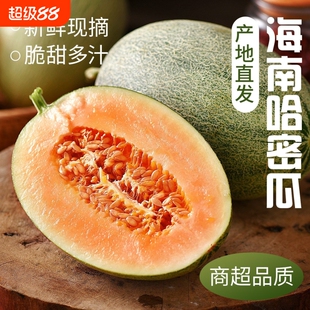 正宗海南哈密瓜西州蜜脆甜新鲜水果蜜瓜王网纹瓜甜瓜整箱非新疆瓜