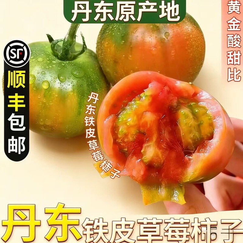 正宗铁皮草莓柿子5斤现摘碱地新鲜自然熟绿腚番茄水果农家西红柿