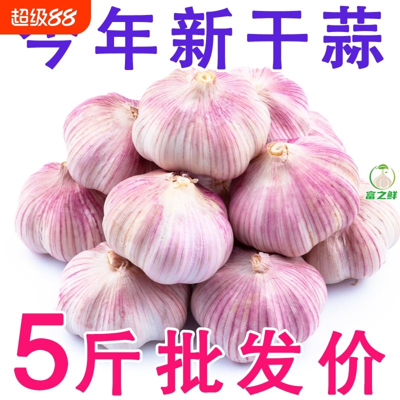 山东金乡新干蒜蒜香味浓辛辣十足