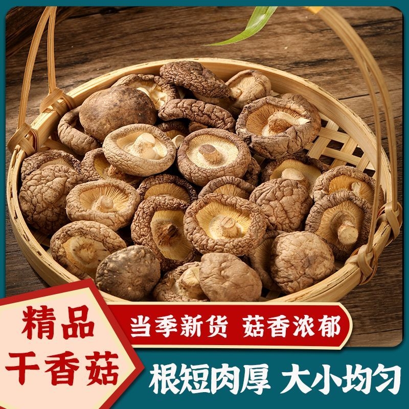 【当季新菇】古田特产香菇干货农家日晒剪脚无根肉厚菇香浓郁煲汤