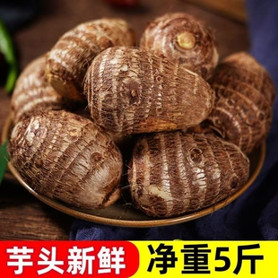 山东新鲜小毛芋头牛奶正宗整箱蔬菜芋艿芋仔糯香批发香芋香糯批发
