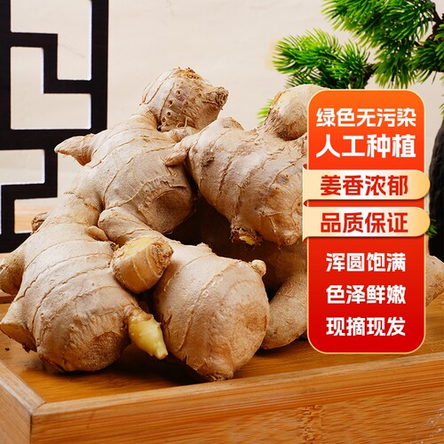 生姜老姜山东大姜10斤风干黄姜月子姜风干姜块新鲜食用蔬菜母