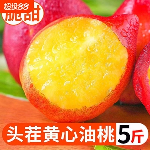 黄心油桃新鲜应季大桃子现摘水果水蜜脆桃清香脆甜多汁整箱包邮