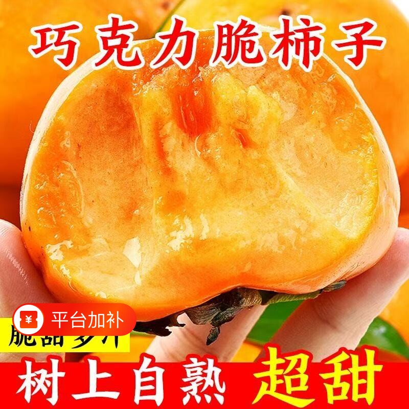 巧克力脆柿子大果脆甜现摘新鲜现摘时令应季水果不涩口带皮吃阳丰
