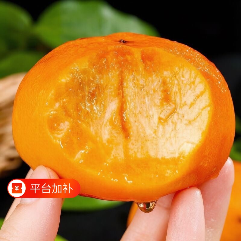 现货正宗阳丰脆柿新鲜应季甜柿子巧克力硬柿子当季水果脆甜直发