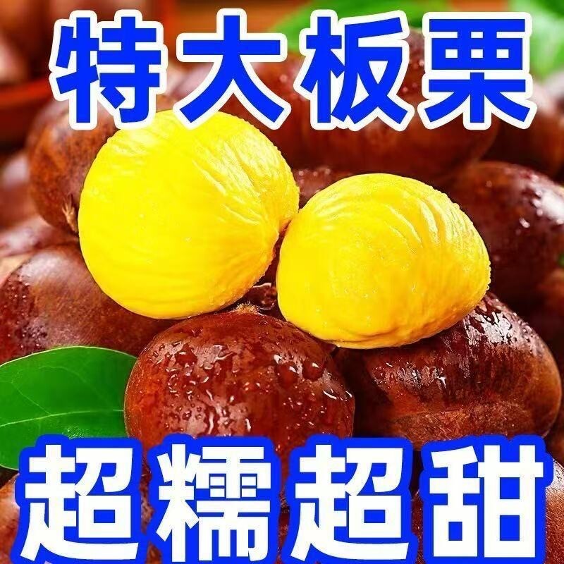 辽宁农家新鲜生摘丹东板栗4.5-5.2斤