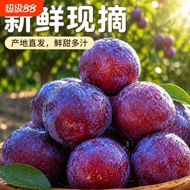 山西黑布林李子新鲜当季孕妇水果恐龙蛋三华酸甜青脆黄肉整箱包邮