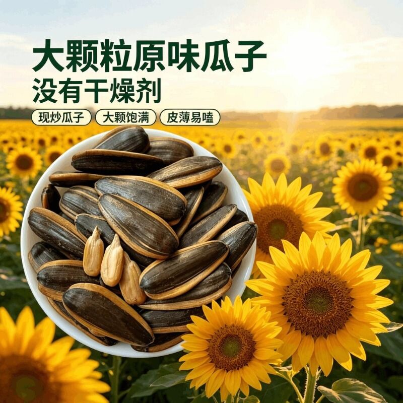内蒙古原味炒熟葵花籽大颗粒五香瓜子炒货批发零食葵花子新散装货