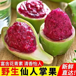 海南仙人掌果实仙桃水果整箱5斤南方野生果应当季罕见奇特热带