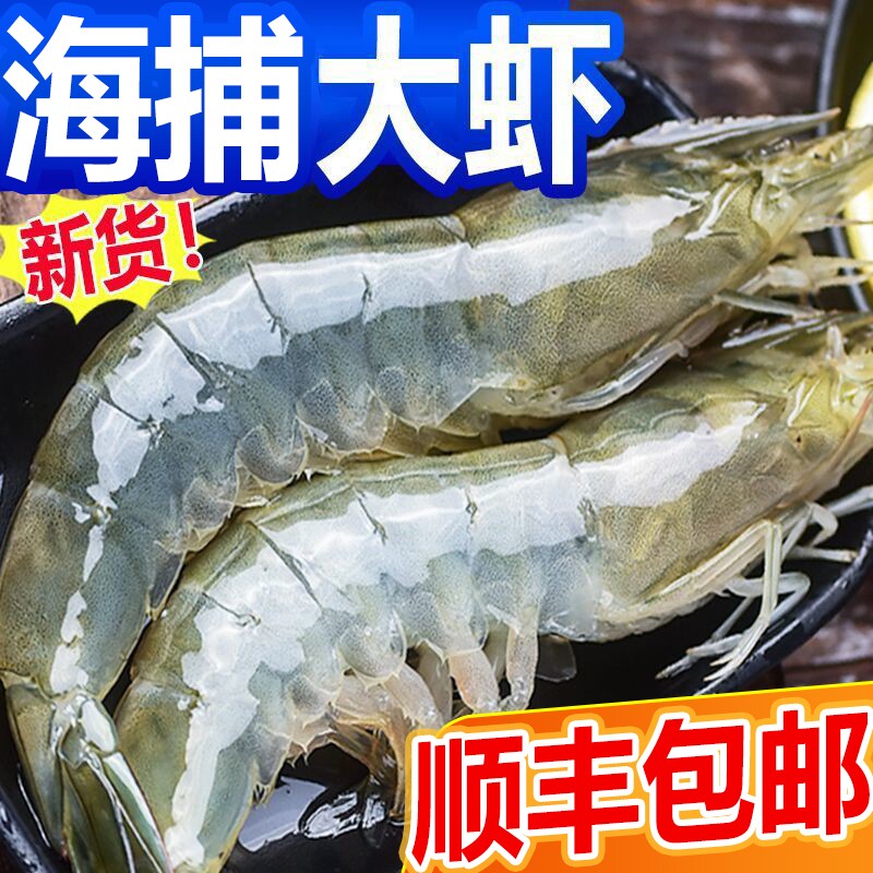 2.8斤青岛大虾鲜活冷冻顺丰包邮基围虾特大新鲜白虾水产批发海捕