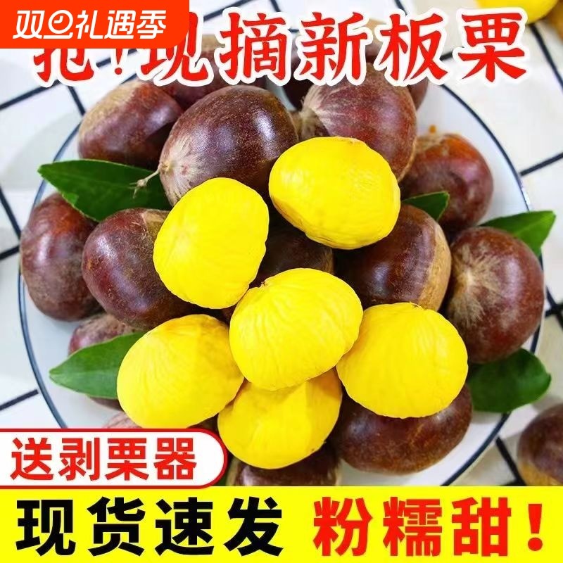 【香甜】2025新鲜丹东生板栗当季板栗生栗子新下树油野栗大板栗仁