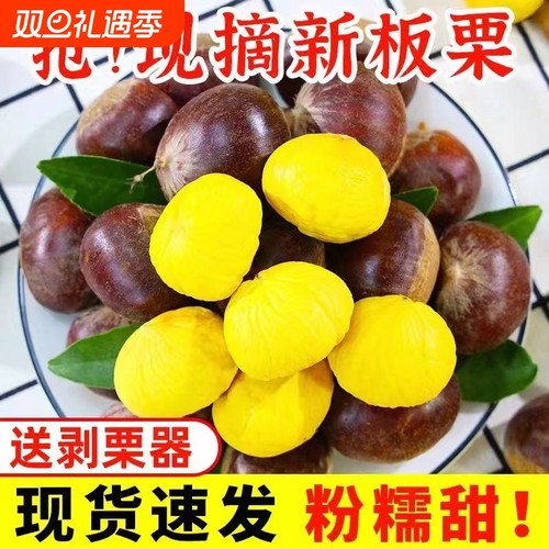 【香甜】2025新鲜丹东生板栗当季板栗生栗子新下树油野栗大板栗仁